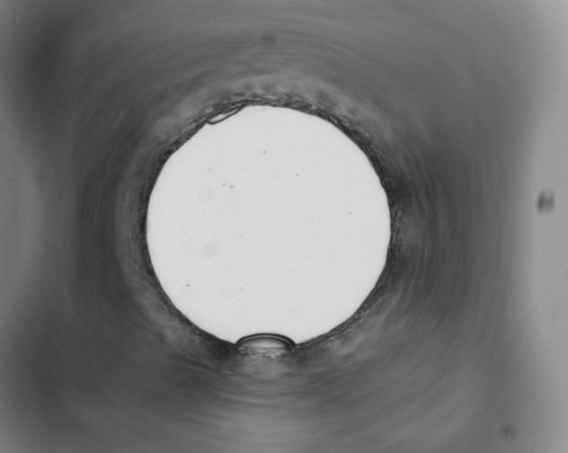 X0000102851489200809151115