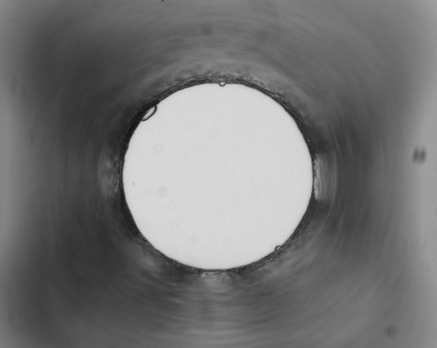 X0000102851491200809151115