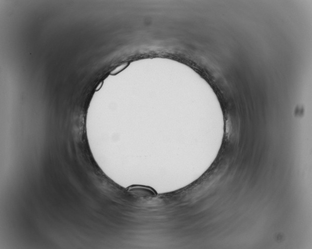 X0000102851492200809151115