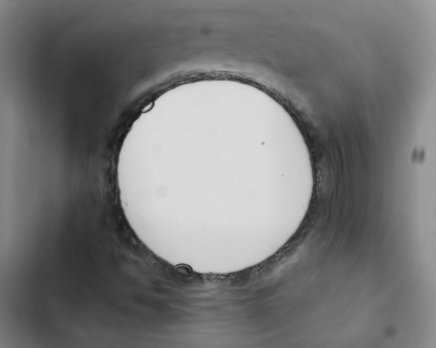 X0000102851494200809151115