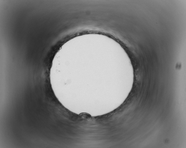 X0000102851495200809151115