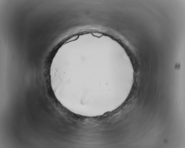 X0000102851496200809151115