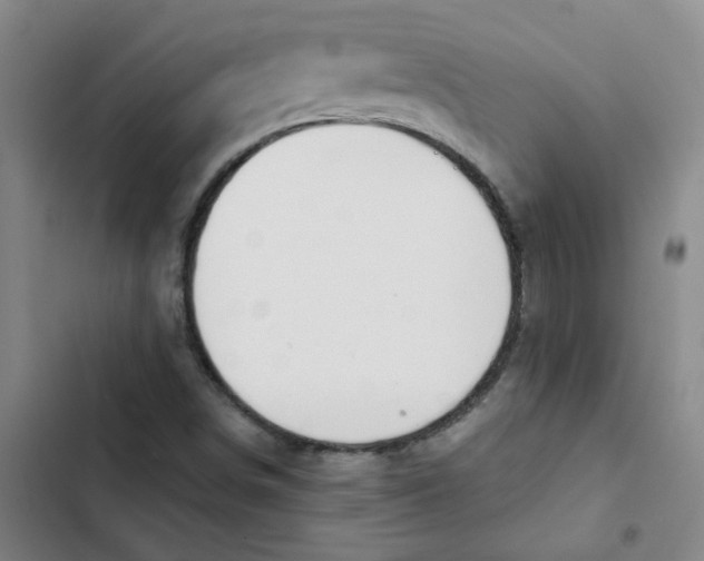 X0000102851498200809151115