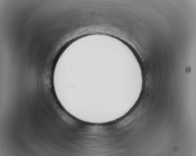 X0000102851499200809151115