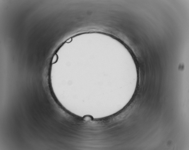 X0000102851500200809151115