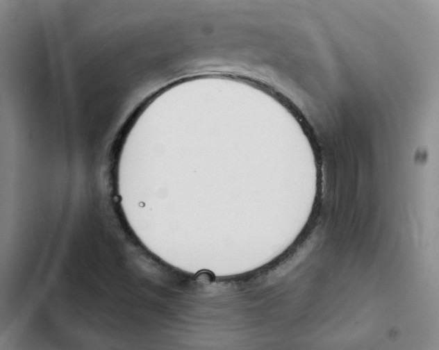 X0000102851501200809151115