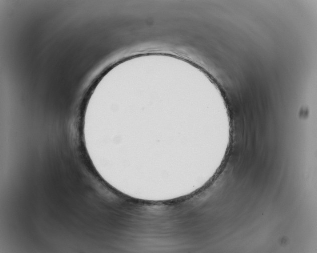 X0000102851502200809151115