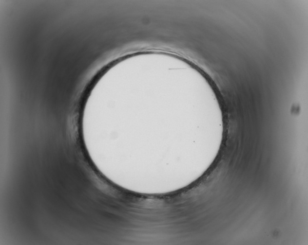 X0000102851503200809151115