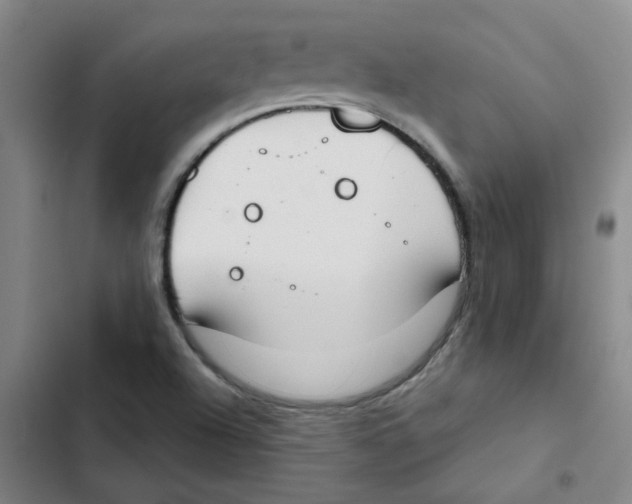 X0000102851504200809151115