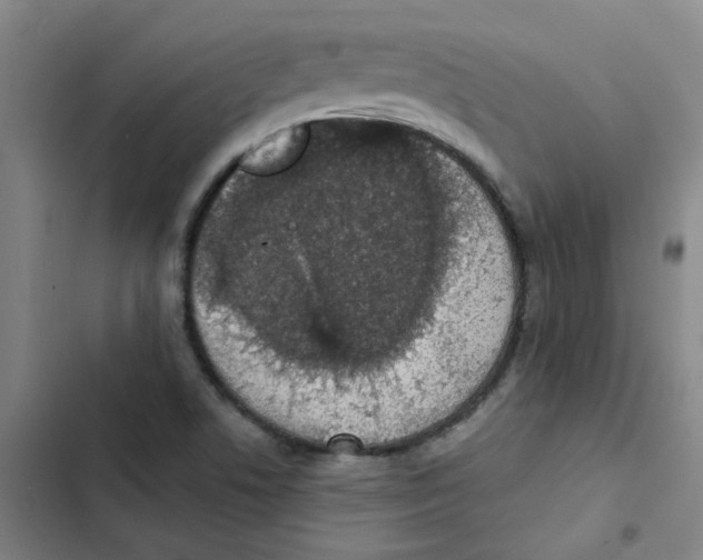 X0000102851506200809151115