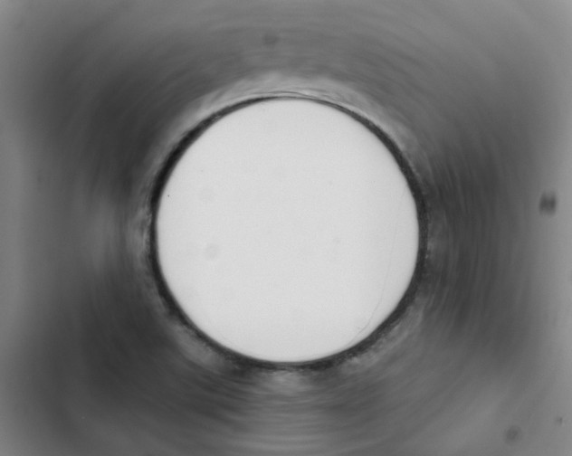 X0000102851507200809151115