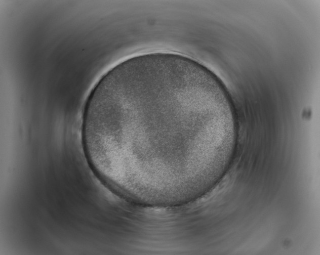 X0000102851508200809151115