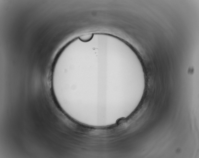 X0000102851510200809151115