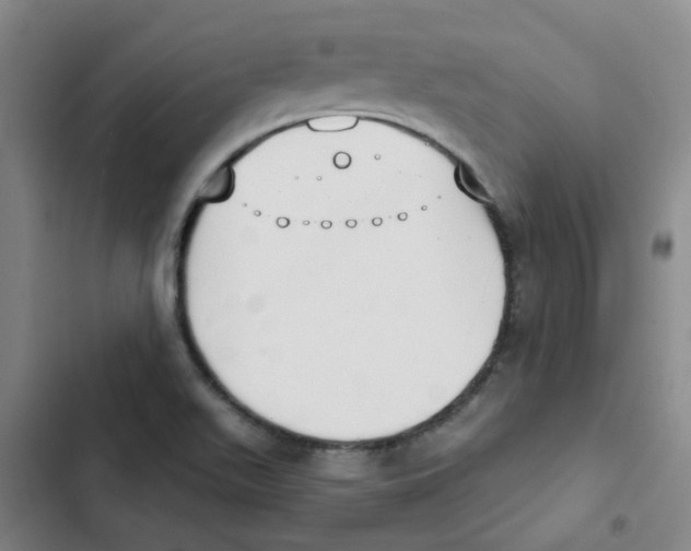 X0000102851511200809151115