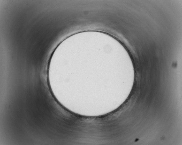 X0000102851512200809151115