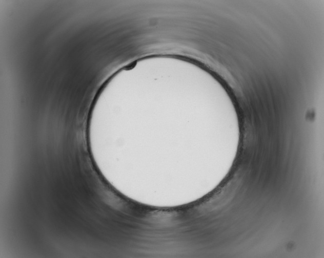 X0000102851513200809151115