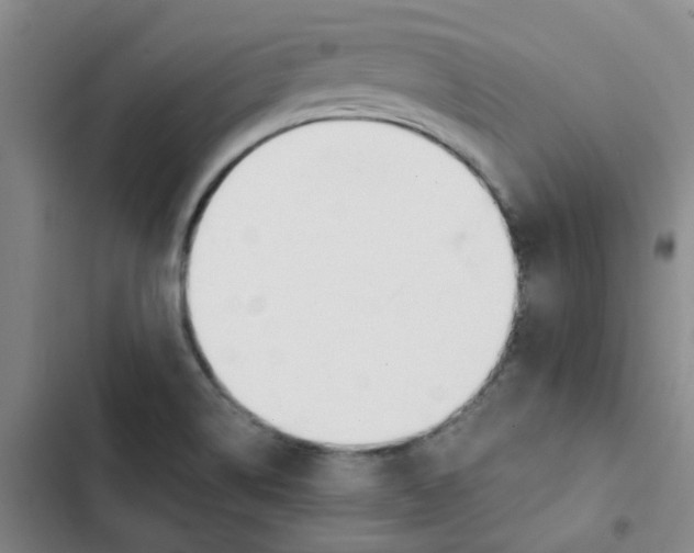 X0000102851514200809151115