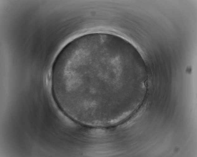 X0000102851515200809151116