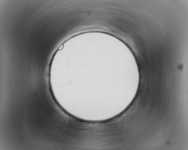 X0000102851516200809151116