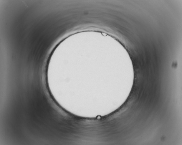 X0000102851518200809151116