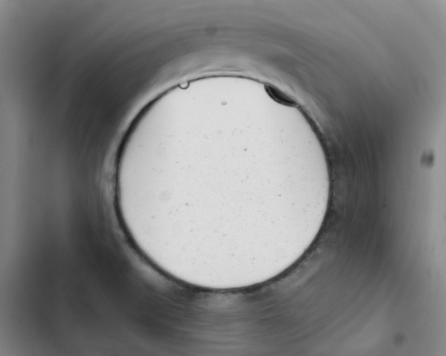 X0000102851519200809151116