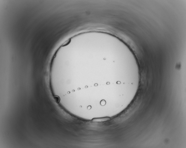 X0000102851520200809151116