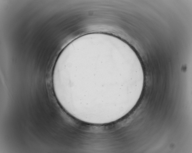 X0000102851521200809151116