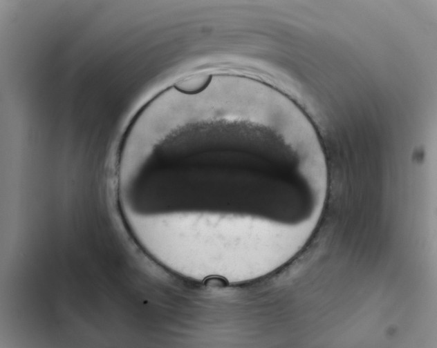 X0000102851522200809151116