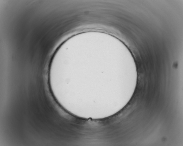 X0000102851523200809151116