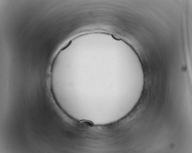 X0000102851524200809151116