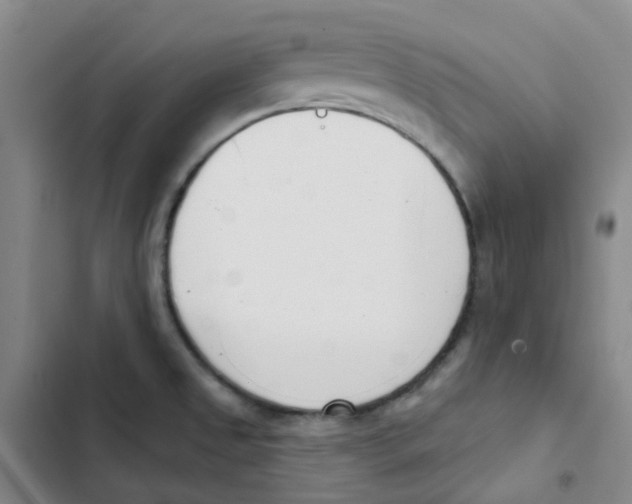 X0000102851525200809151116