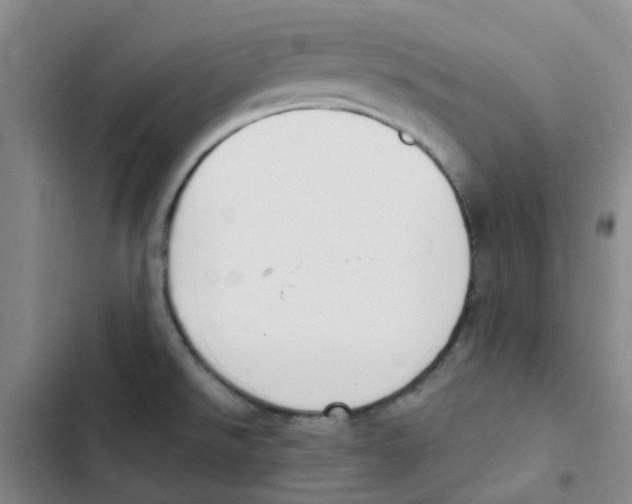 X0000102851526200809151116