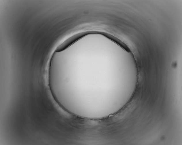 X0000102851528200809151116