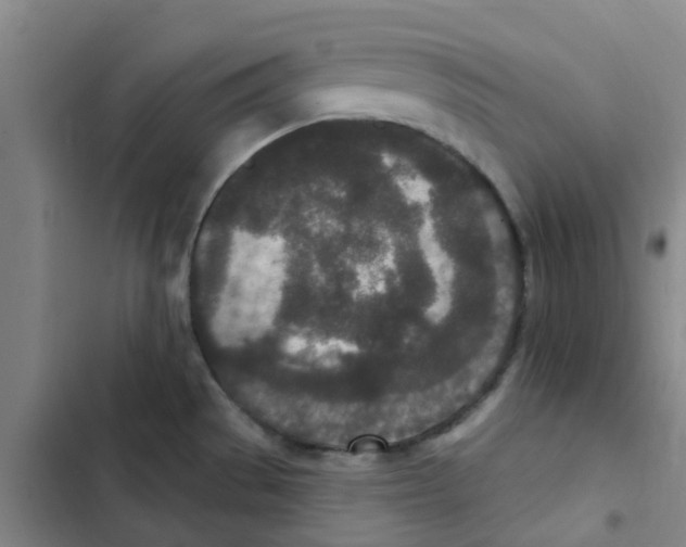 X0000102851529200809151116