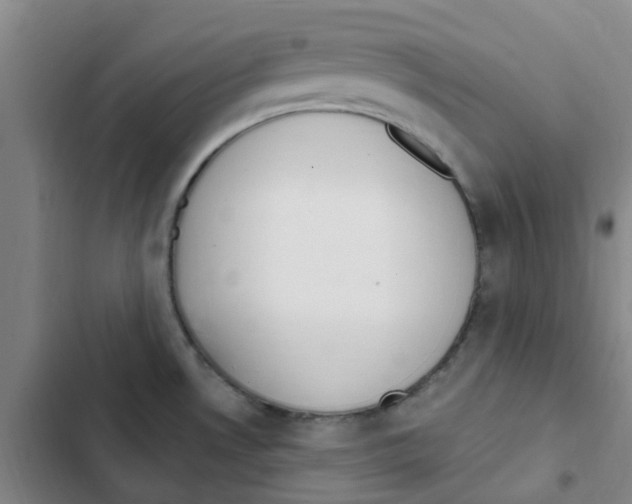 X0000102851530200809151116