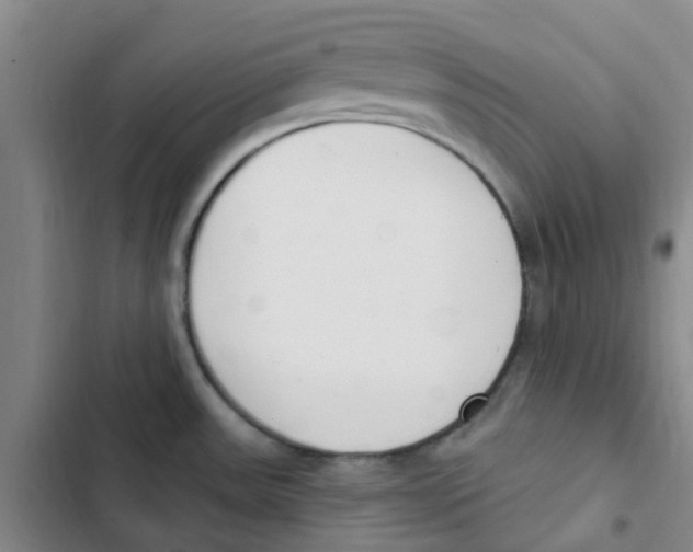 X0000102851531200809151116