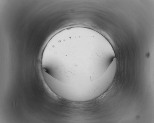 X0000102851532200809151116