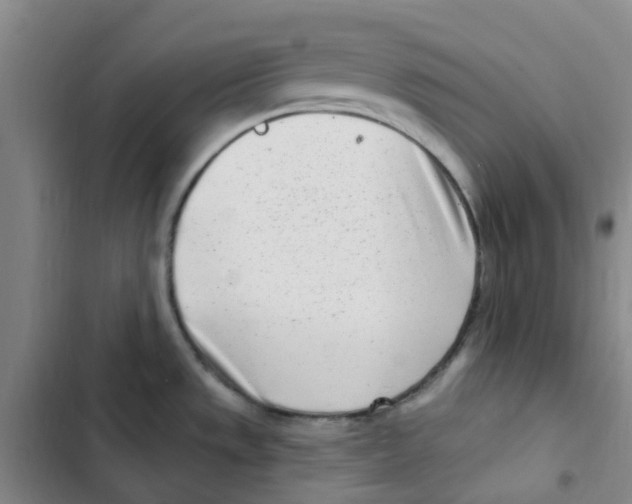 X0000102851533200809151116