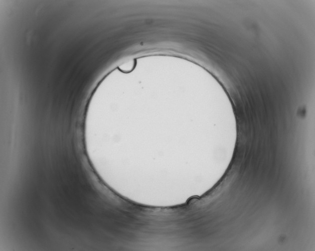 X0000102851534200809151116