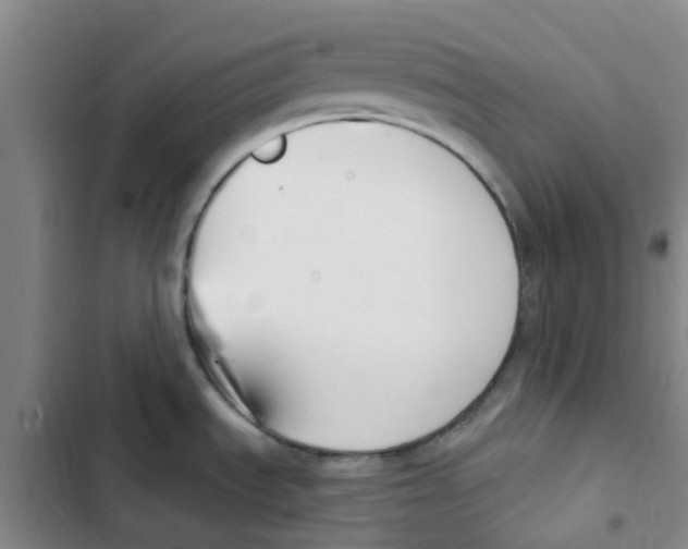 X0000102851535200809151116