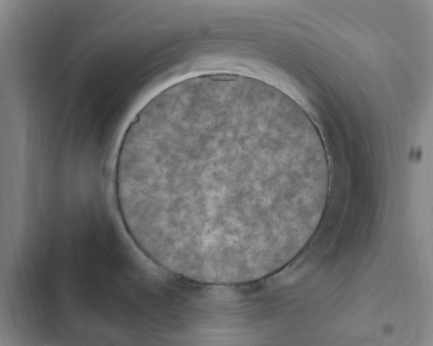 X0000102851536200809151116