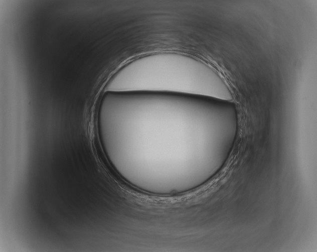 X0000102860002200808181035