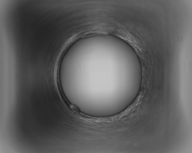 X0000102860003200808181035