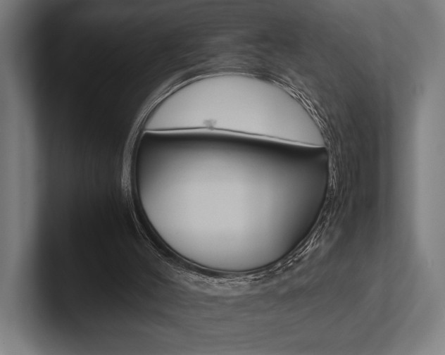 X0000102860004200808181035