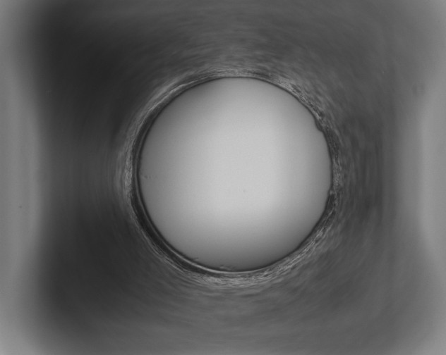 X0000102860005200808181035