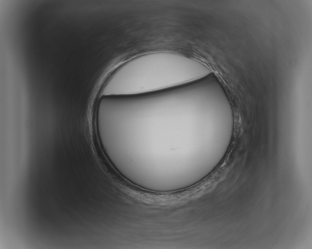 X0000102860006200808181035