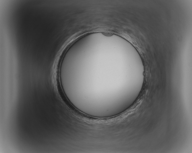 X0000102860007200808181035