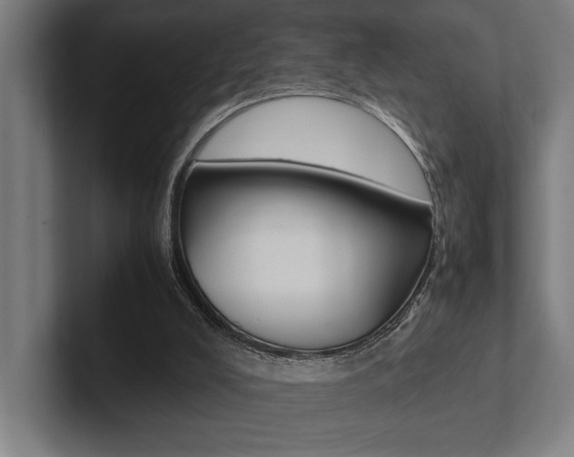 X0000102860008200808181035