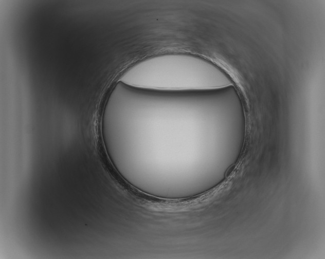 X0000102860009200808181035