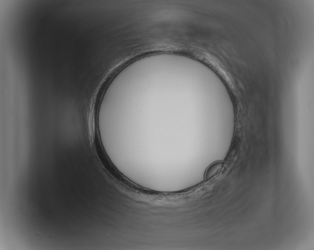 X0000102860011200808181035